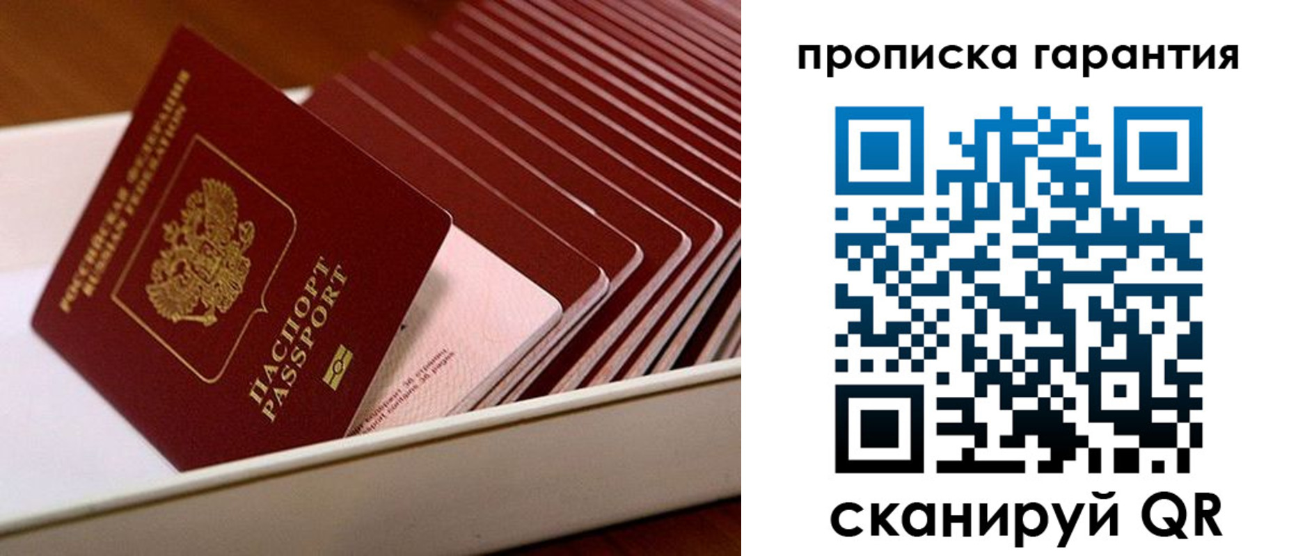 прописка поиск в Курчалом