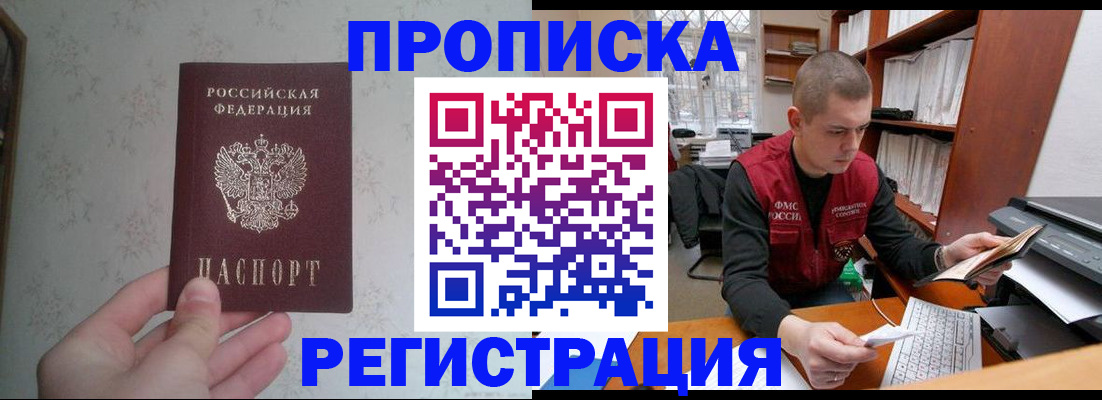 прописка в Курчалом